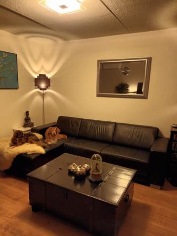 Echt lederen bank met lounge deel