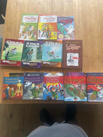 Grote collectie kinderboeken: Geronimo Stilton, Mees Kees, T