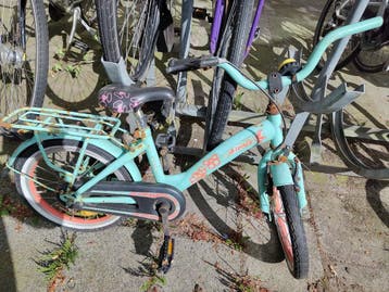 Alpina kinderfiets - 3-5 jaar