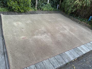 vloerkleed 240 x 300 cm bruin; gratis af te halen