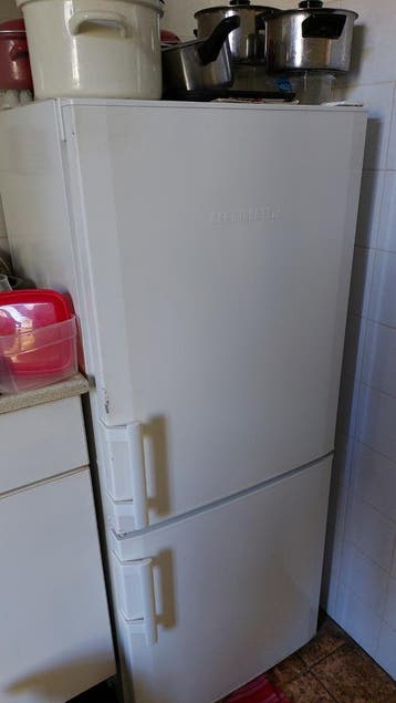 Werkende koel/ vries combinatie