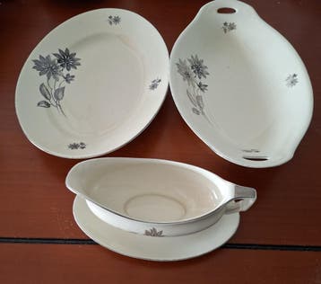 Gratis schalen en sauskom