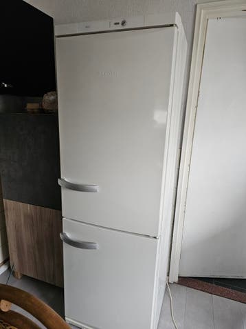 Gratis Miele Koelkast voor de handige harry