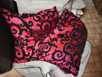 Gratis Set van 2 roze/zwarte sierkussens