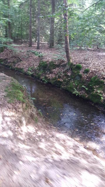 Gratis kamerplanten gezocht