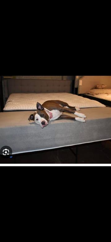 Gratis matras 2  meter x 90 cm voor een 2 de leven