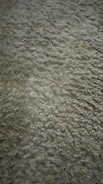 Gratis mooi tapijt 140x240 cm - Ophalen Waalwijk