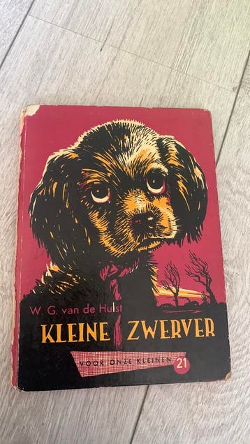 Kleine zwerver - W. G. van de Hulst