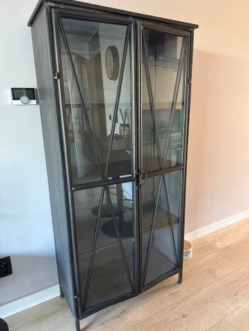 Gratis Industriële Stalen Kast met Glazen Deuren