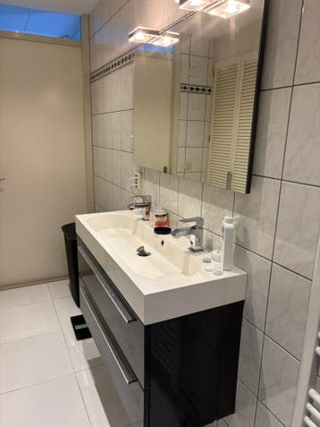 Gratis Badkamer meubels spiegel en verwarming