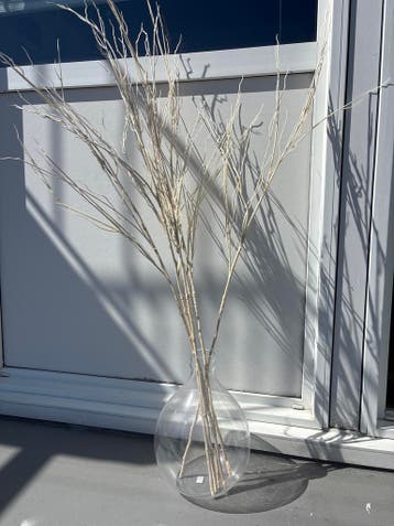 Doorzichtige vaas met decoratieve kunststof takken (gratis)