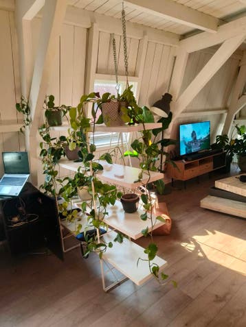 Witte scheidingskast