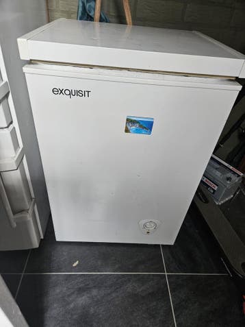 Vrieskist Exquisit - Goed gebruikt,