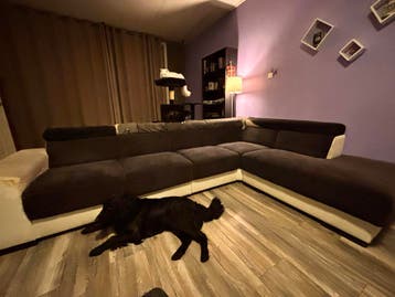 GRATIS:Zeer gebruikte hoekbank uit huis met dieren/FREE SOFA