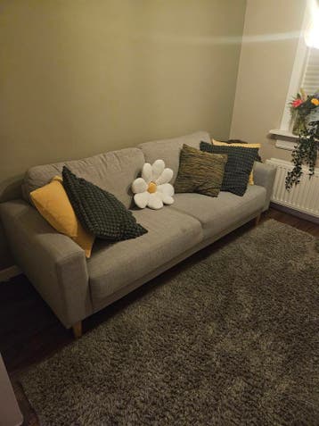 Gratis! Comfortabele 3-zitsbank - Lichtgrijs