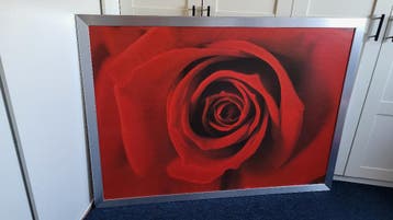 GRATIS: schilderij Ikea roos 100x140cm