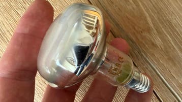 2 gloeilampen. Nieuw. Ruilen voor een wijntje of iet