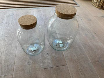 Glazen terrarium met kurken deksel - 28 en 34 cm hoog
