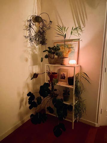 Wit rekje - gratis ophalen