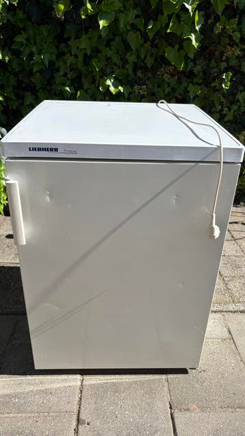Gratis! Liebherr koelkast!
