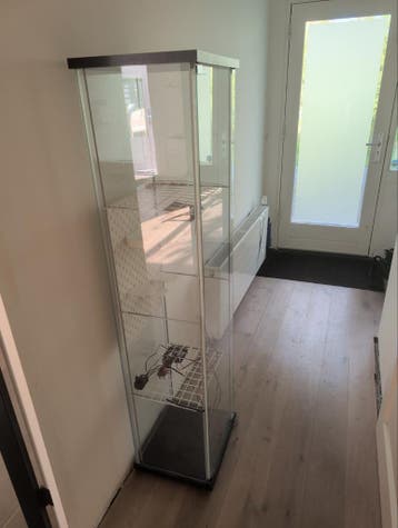 Glazen vitrinekast met planken