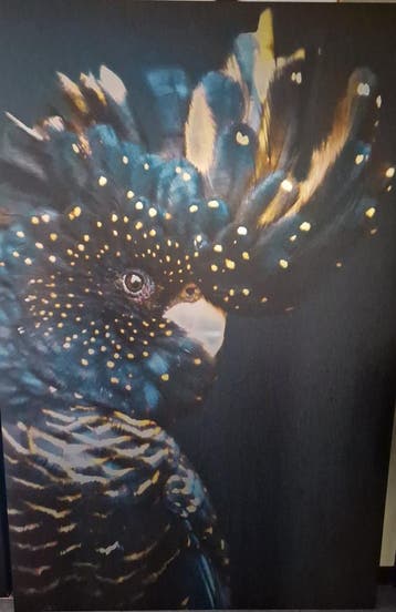 Gratis, Cockatoo op alu dibond