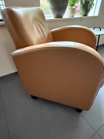 Gratis af te halen leren fauteuil