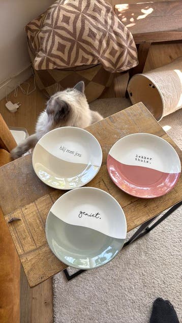 Bordjes/schaaltjes 3x