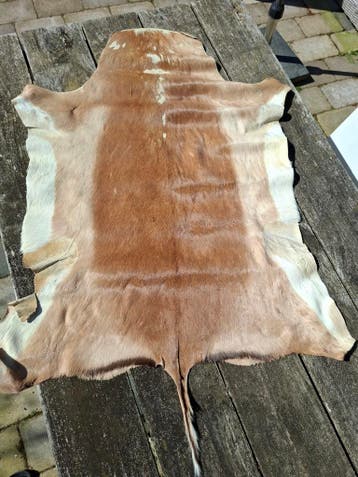 dierenvel, decoratief en uniek