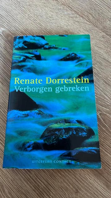Renate Dorrestein - Verborgen gebreken