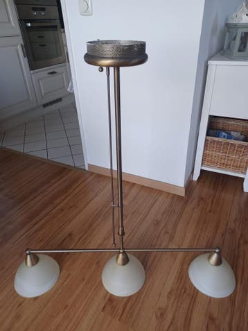 Gratis Plafondlamp
