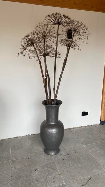 Gratis ophalen!!!! Vaas met gedroogde bereklauwen