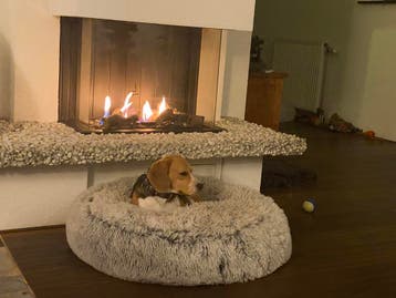 Moderne inbouwgashaard gashaard propaangas