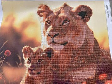 Gratis; Diamond painting schilderijtjes