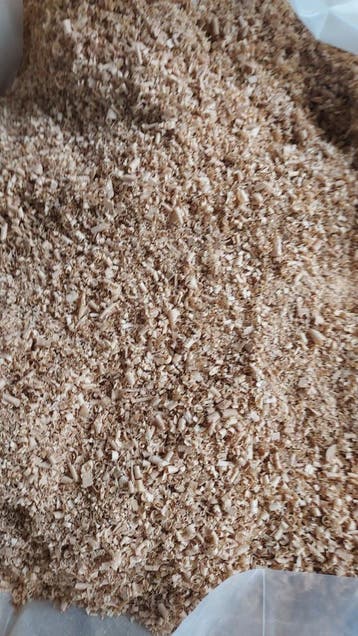 Gratis houtkrullen schaafkrullen zaagsel eiken