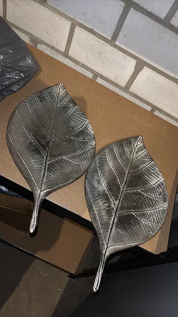2 grote bladschalen zilverkleurig