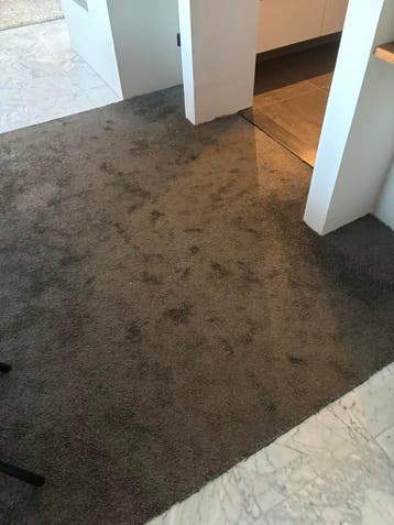 Gratis gebruikt vloerkleed - donkerbruingrijs (3.30x2.40m)