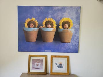 Gratis aftehalen Anne Geddes poster foto's
