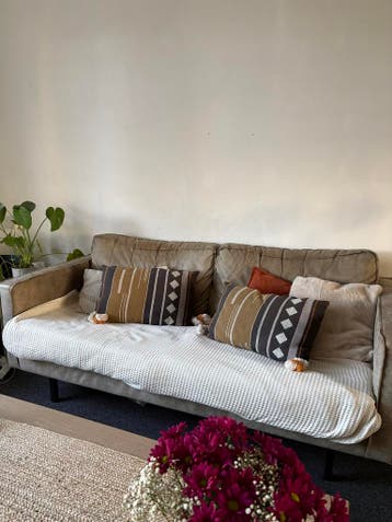 Gratis leren bank - comfortabel en huisdiervrij