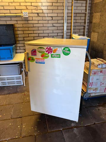 Compacte koelkast. In ruil voor een pak roomboter koekjes.