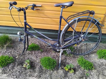 Gazelle