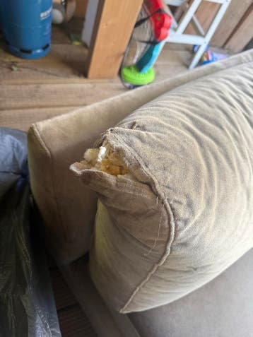 Gratis fauteuil - Op te halen