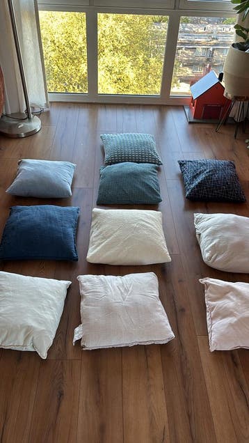 GRATIS Diverse kussens in verschillende kleuren