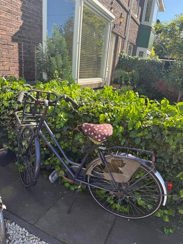Pointer damesfiets - Opknapper