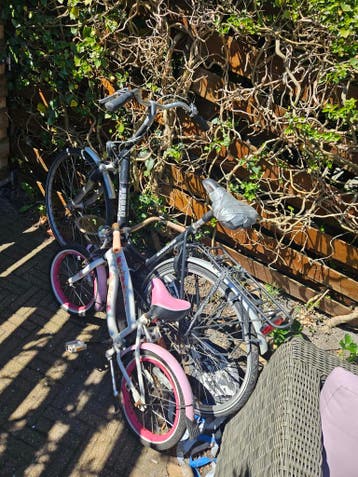 Twee fietsen gratis mee te nemen
