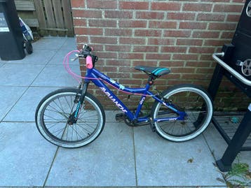 Gratis Avalanche fiets - Perfect voor beginners!