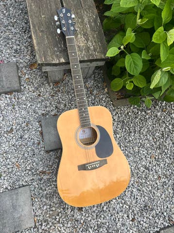 Fazley W600 Westerngitaar