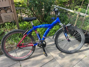 Batavus snake 24inch opknapper