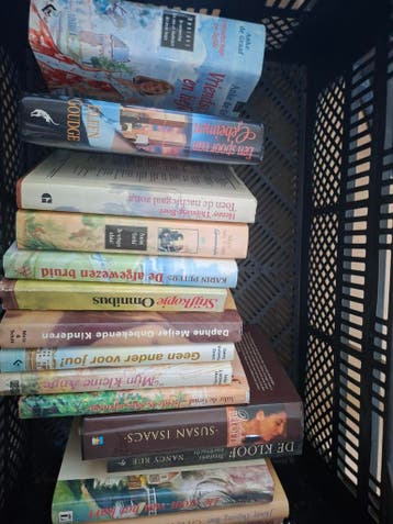Gratis Diverse boeken: streekromans, romans en meer