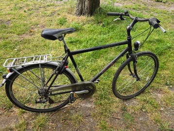 Steppen herenfiets met versnellingen en bagagedrager